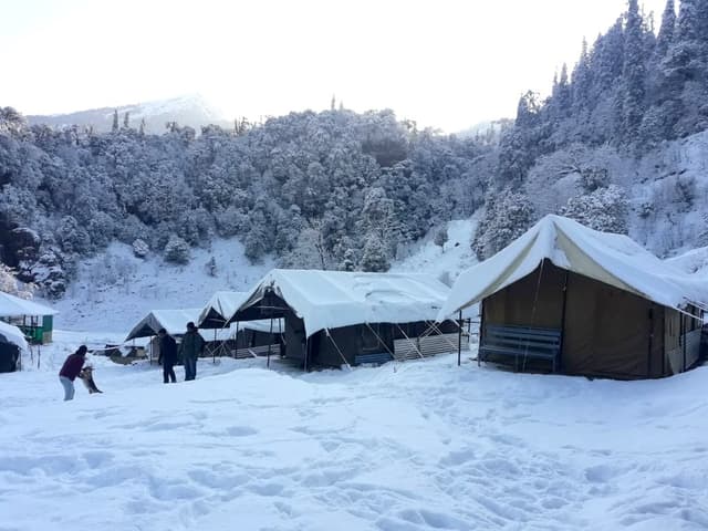 Day 1 - camp alpine-adv-9.jpg