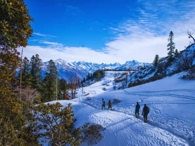 Day 1 - forest Kedarkantha-Trek-Snow-Trail.jpg