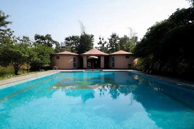 Day 1 - madhuban-eco-retreat-pool-side-view.jpg